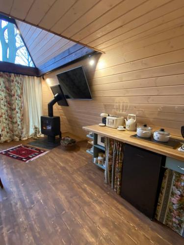 a room with a table and a television in a cabin at Там, де файно in Onokovtsy
