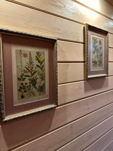 two framed pictures of flowers on a wall at Там, де файно in Onokovtsy