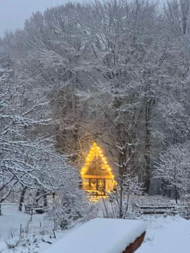 a christmas tree is lit up in the snow at Там, де файно in Onokovtsy