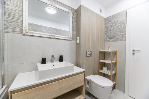 a bathroom with a sink and a toilet at Mountain Views Urban Plaza in Braşov
