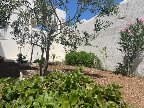 a garden with a tree and plants in front of a building at Résidence de la plage Ghar El Melh in Ghār al Milḩ