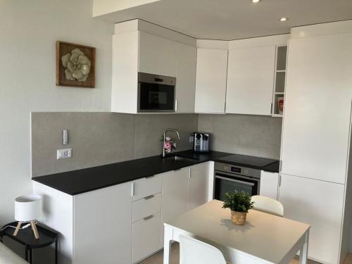 Amazing views modern flat Geneva, Champel