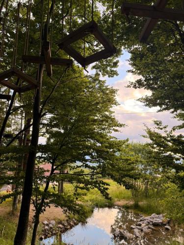 a view of a pond in a forest with trees at Villa standard n'Bjeshkë in Dragash
