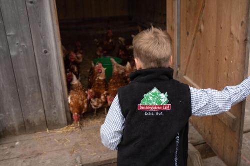 a young boy wearing a black vest looking at chickens at Ferienwohnungen Recherhof in Hochfilzen