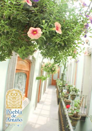 Κήπος έξω από το Hotel Puebla de Antaño