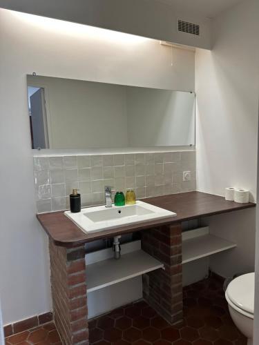 a bathroom with a sink and a mirror at Le Moulin d'Andé in Andé