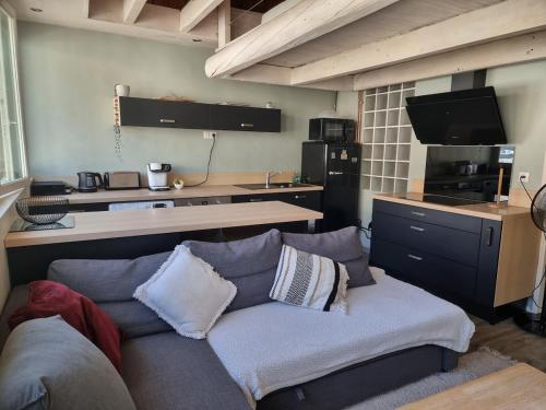 un salon avec un canapé et une cuisine dans l'établissement Appartement au coeur de la ville, à Aix-les-Bains