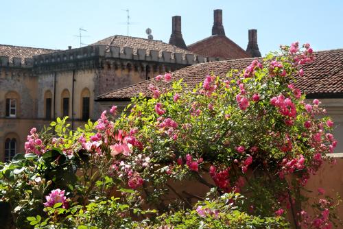 a bush with pink flowers in front of a building at Arnaboldi Palace in Pavia