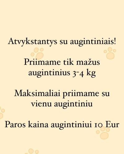 Gambar di galeri bagi Pajūrio Gintaro namai di Palanga