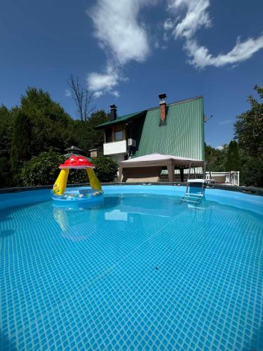 Bazén v ubytování Vila Presjenica nebo v jeho okolí