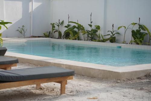a swimming pool with blue water in a building at Tumbili Hotel Boutique in Paje