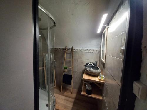 ein Badezimmer mit Glasdusche und Waschbecken in der Unterkunft La Taverne de papy in Saint-Crépin