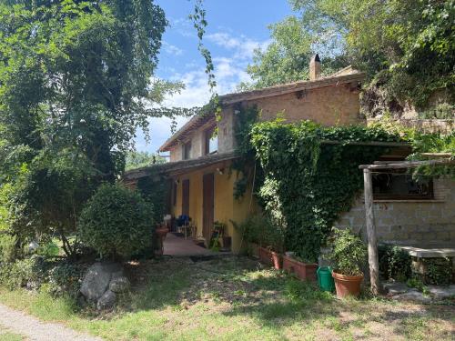 Galeriebild der Unterkunft Iorio's Country House in Montefiascone