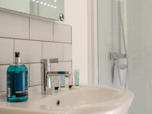 a bathroom sink with a bottle of soap and a mirror at The Chicken Coop in Fulletby