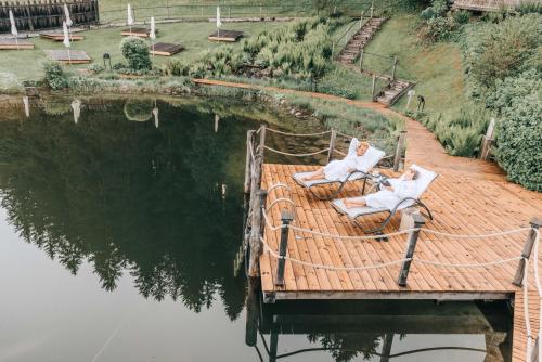 two cats sitting on chairs on a dock in the water at Hotel Elisabeth, 4 Sterne Superior in Kirchberg in Tirol