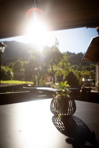 a small plant sitting on a table in front of a window at Hotel Elisabeth, 4 Sterne Superior in Kirchberg in Tirol
