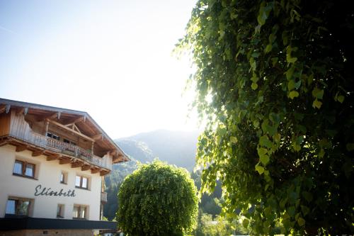 a building with a tree in front of it at Hotel Elisabeth, 4 Sterne Superior in Kirchberg in Tirol