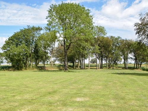 a large grass field with trees in the background at Swn-Y-Don in Llanstephan