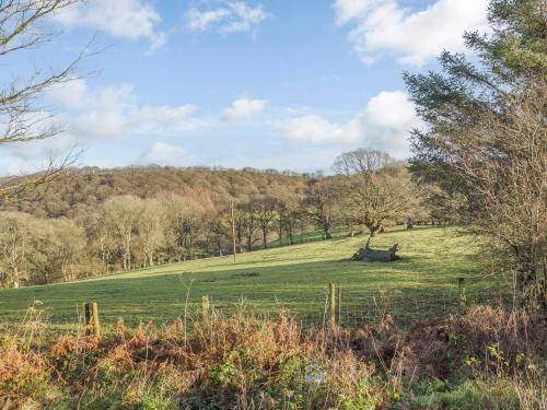 a grassy field with trees in the background at Pen Y Crug in Beulah