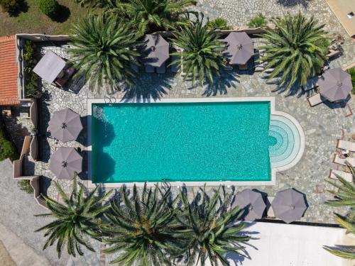 Πισίνα στο ή κοντά στο Kelyfos Hotel 