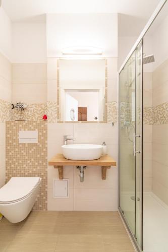 a bathroom with a sink and a toilet and a shower at Apartament Bursztynowy in Rowy