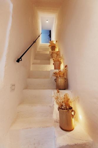 a stairway with potted plants in a stair case at Corte Manfredi in Alessano