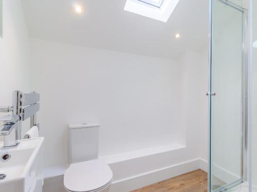a bathroom with a toilet and a sink at Kestrel Barn-Uk31353 in Swaffham