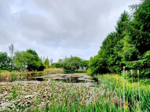 a river in a field with grass and trees at The Barn-Uk32860 in Alltwen