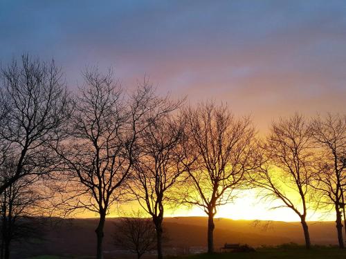 a group of trees with the sunset in the background at The Barn-Uk32860 in Alltwen