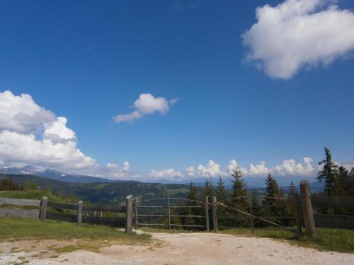 Gallery image of Karnerhütte in Weitenbach