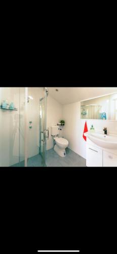 a bathroom with a shower and a toilet and a sink at Love Cottage in Glenwood