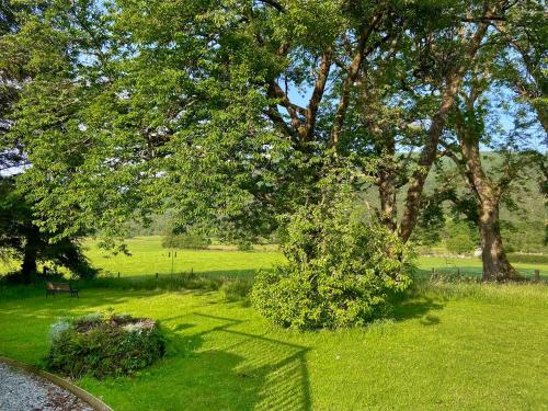 a park with a tree and a bench in the grass at The Prince - Uk42204 in Clachan of Glendaruel