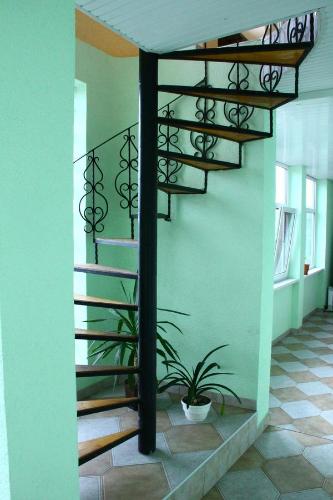 a spiral staircase in a room with a potted plant at Constancia in Kamianets-Podilskyi