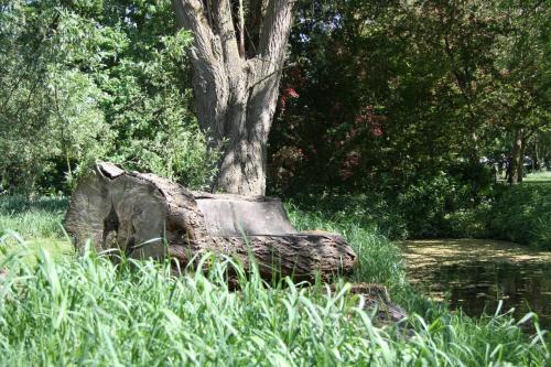 a tree stump sitting in the grass next to a tree at 't Koetshuys in Heenvliet