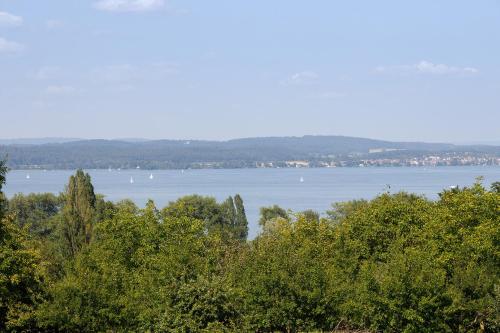 a view of a lake with boats in the water at Bergblick Apartments in Radolfzell am Bodensee