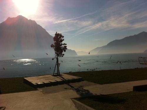 a tree in front of the water with a mountain at Albergo Diffuso Vulcano Village in Castro