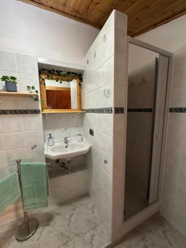 un bagno con lavandino e doccia di House Bellavista a Sassari