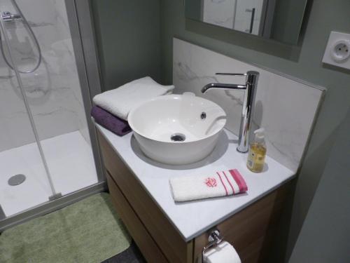 a bathroom with a sink and a shower at Au Fil de l'Eau in Château-Gontier
