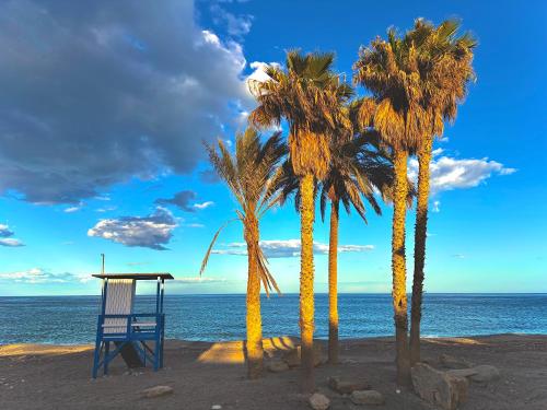 a blue chair and palm trees on the beach at Nautilus in Carboneras