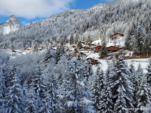Alpine apartment in Swiss village of Torgon durante el invierno