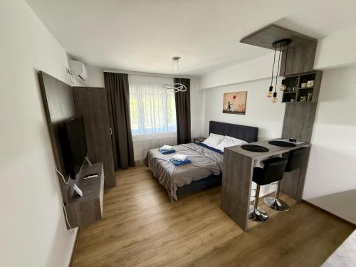 パラチンにあるRoyal Apartmani 3のベッドと机のある小さな寝室