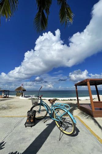 a blue bike parked on a beach near the ocean at Hostel Auikyani in Cozumel