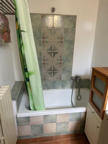 a bathroom with a bath tub with a shower curtain at Dimora Borgo Torre in Rutino