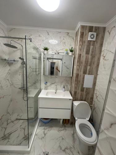 a bathroom with a toilet and a shower and a sink at Apartment Tuthon in Pomorie