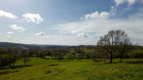 a green field with two elephants in the distance at Cantinho do Azibo 