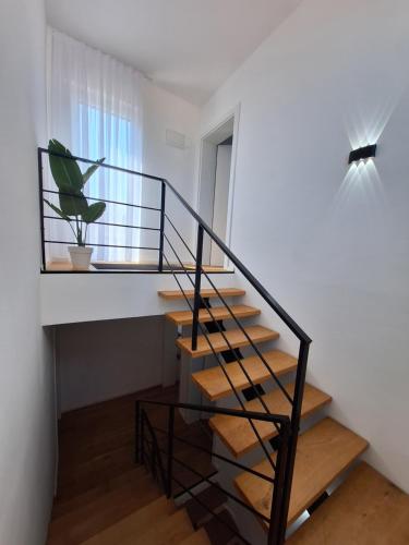 a staircase with a glass railing and a plant at Villa Amphora in Vir