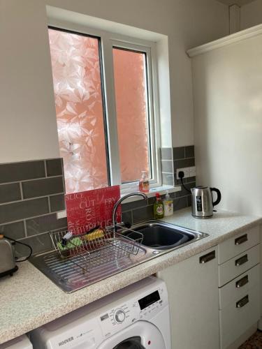 a kitchen with a sink and a dish drying rack at Number Eight in Belfast