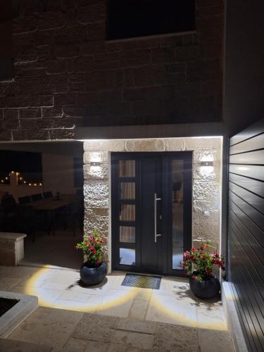 a front door of a house with two potted plants at Villa Amphora in Vir