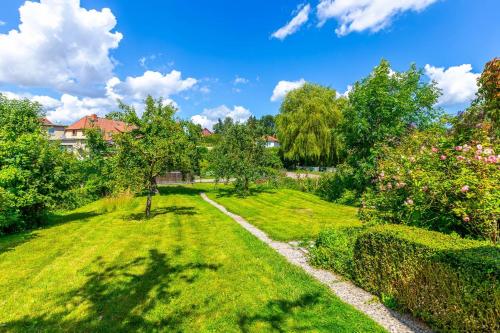 a garden with green grass and trees and a pathway at Ferienhaus Andersson in Klütz