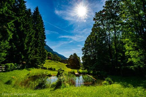a view of a pond in a field with trees at Haus am Kolm in Bad Bleiberg